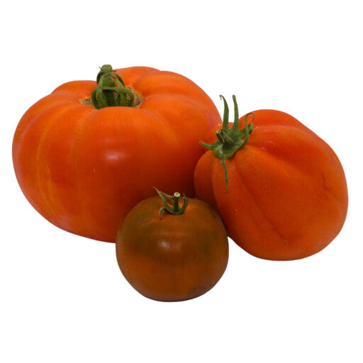 Fleischtomaten Mix Bio regional