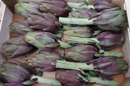 Artischocken Box Bio
