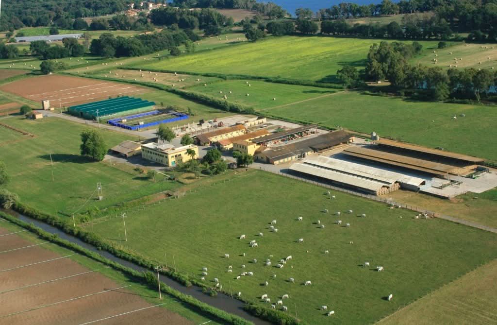 Süsskartoffel weiss Demeter Bio