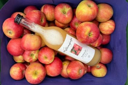 Apfel "Alkmene" alte Sorte Bio regional