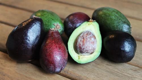 Avocados mini Wildwuchs