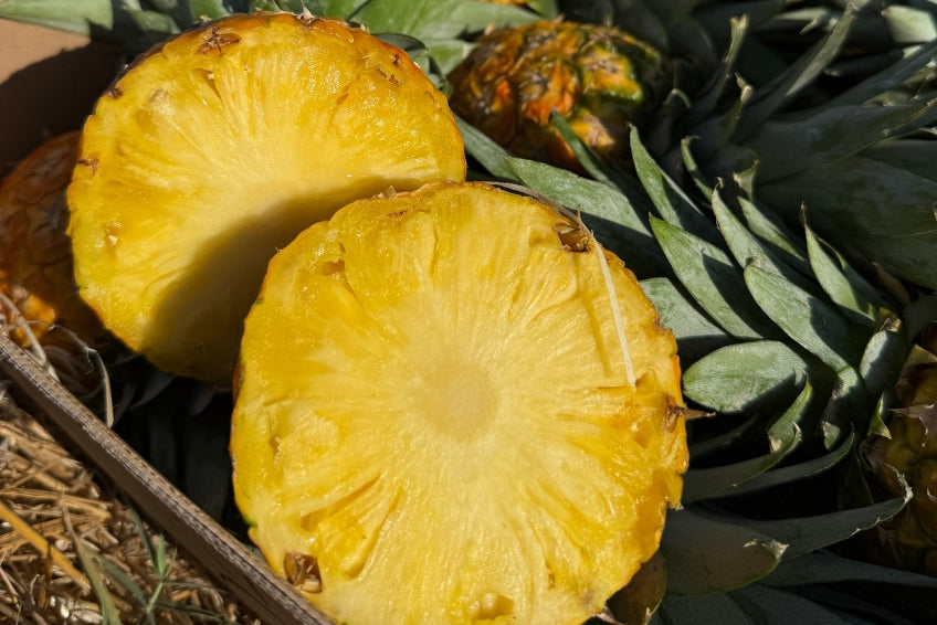 Baby-Ananas reifgeerntet