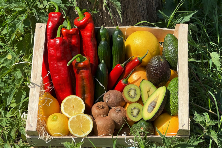 Obst-& Gemüsebox „Kretas Garten der Götter“ Bio 4kg