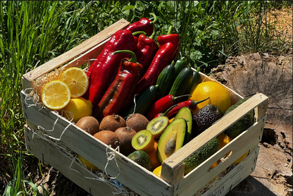 Obst-& Gemüsebox „Kretas Garten der Götter“ Bio 4kg