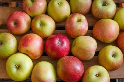 Apfel Mix Bio regional Bioland