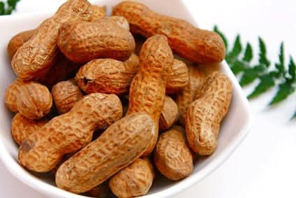 Erdnüsse geröstet Bio 250g