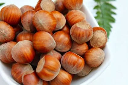 Haselnüsse Bio