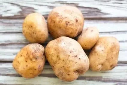 Kartoffeln Annabelle festkochend Bio regional neue Ernte