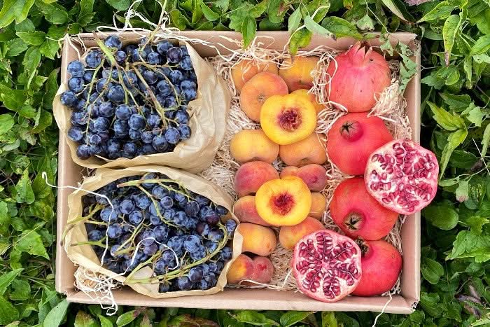 Obstbox "Griechische Sonne" Bio Aktionspreis