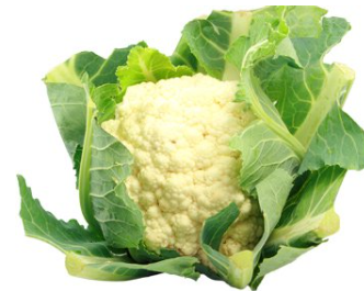 Blumenkohl Bio regional aus Bayern 1 Stk.