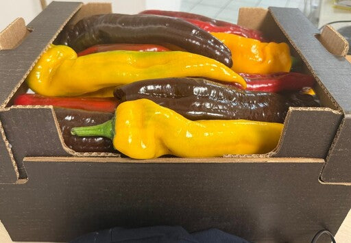 Spitzpaprika Palermo bunt demeter Sizilien