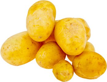 Kartoffeln "Butter" Bioland neue Ernte Bio