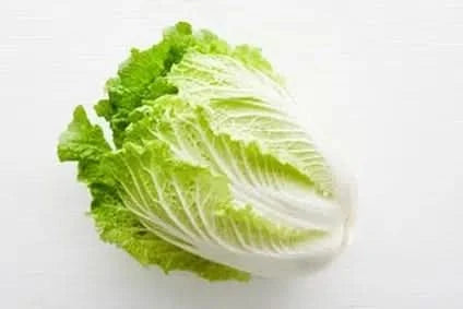 Chinakohl "Hinnerk" samenfest Familie Schoof Bio regional