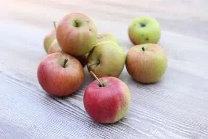 Früh-Apfel "Delbar" Bio