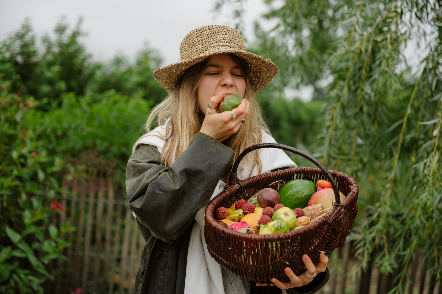 Annas Exotic-Box Bio & wild