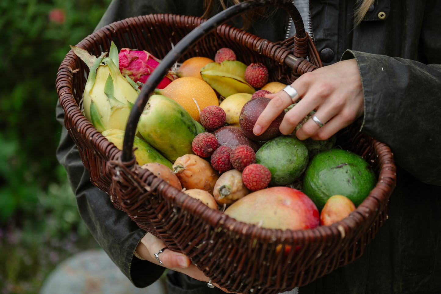 Annas Exotic-Box Bio & wild