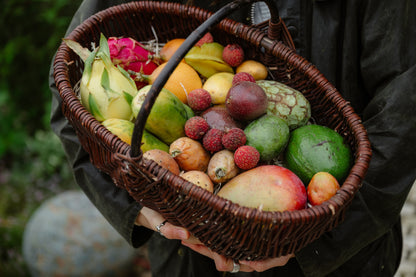 Annas Exotic-Box Bio & wild