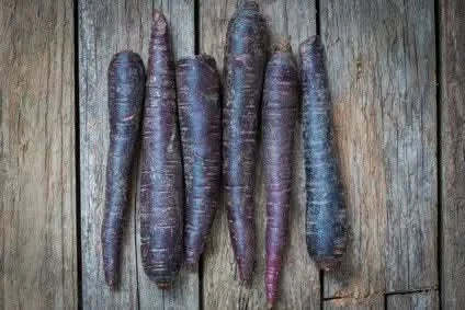 Karotten “Deep Purple” Bio regional