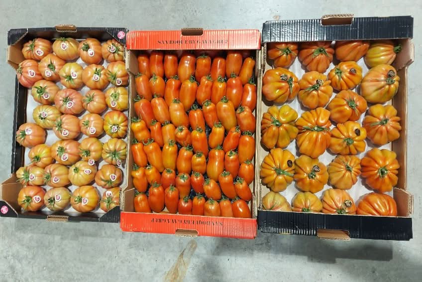 Bio Delikatess-Tomaten "Trio" Aktionspreis 3kg