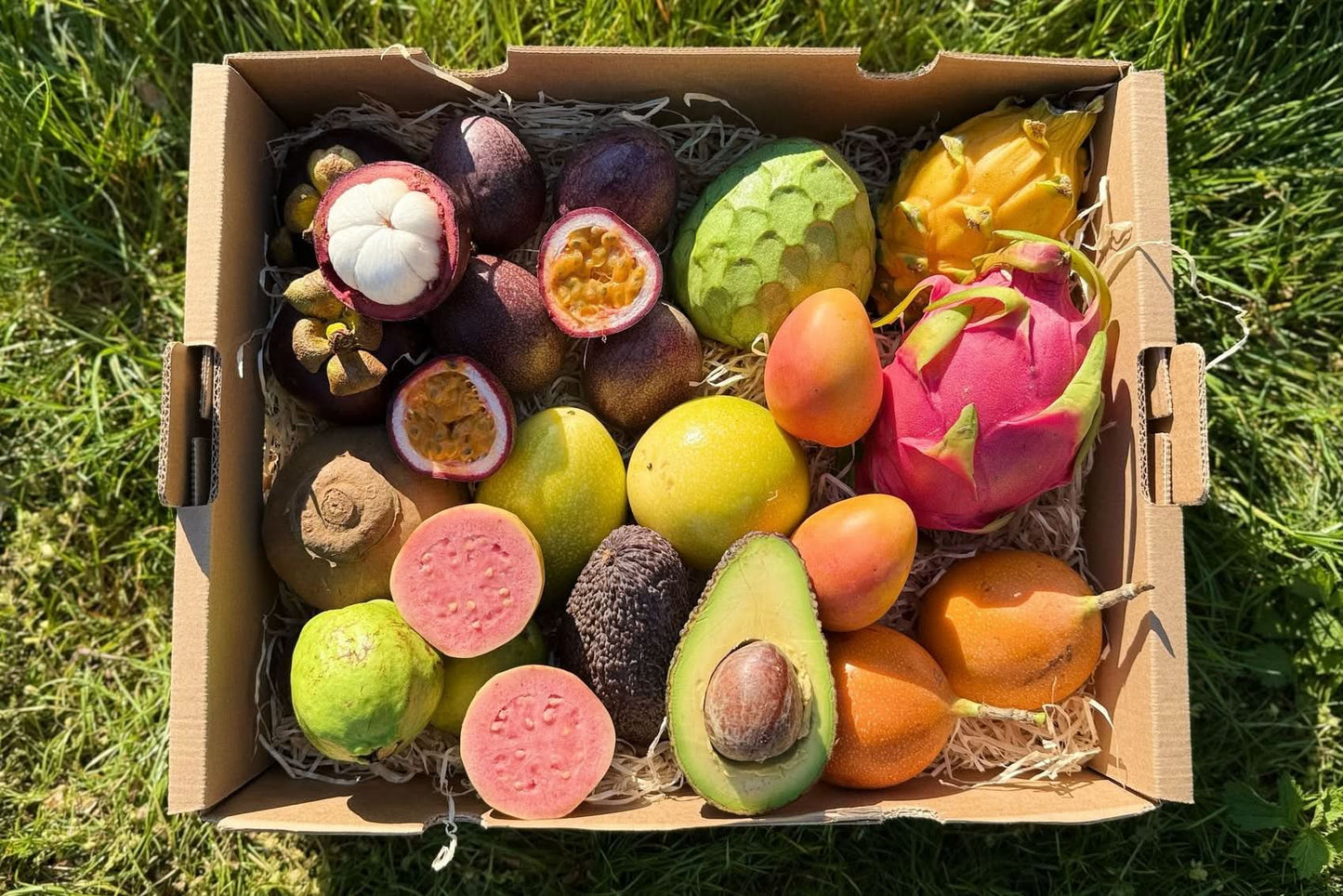 Probierbox "Exotische Früchte"