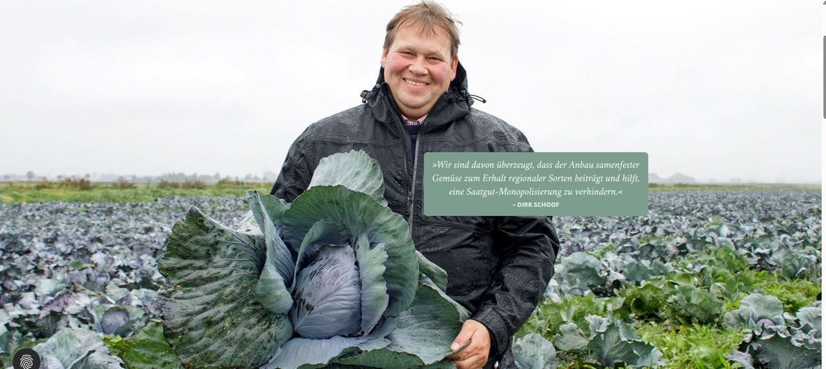 Rote Bete Bio samenfest Regional Demeter Fam. Schoof – Produktansicht 2