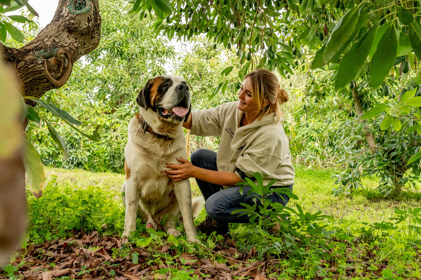 Avocado Wild Bio Demeter von Julia