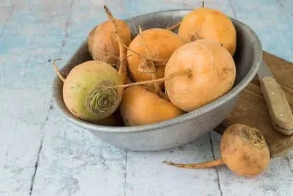 Goldrübchen neue Ernte Bio aus der Bretagne