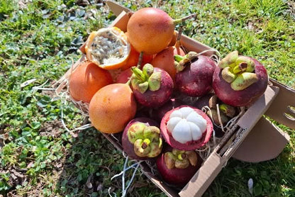 Granadilla & Mangostan Deluxebox