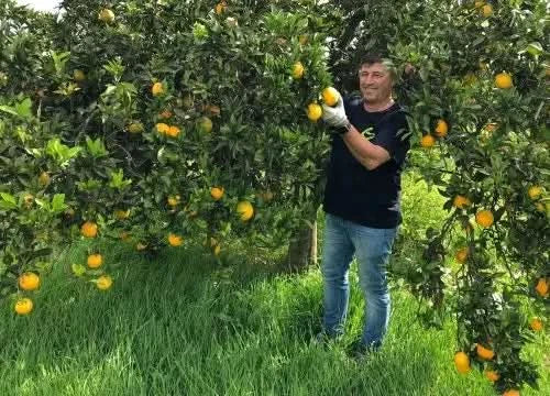 Grapefruitbox pink Bio