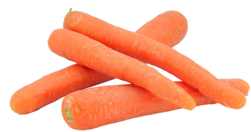 Karotten Bio Bioland