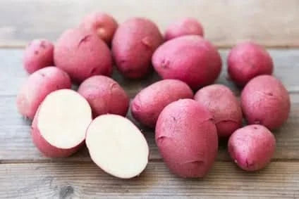 Kartoffeln "Alouette" rotschalig neue Ernte Bio