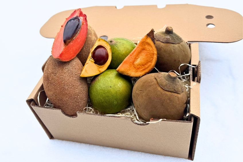 Sapote Trio Entdeckerbox