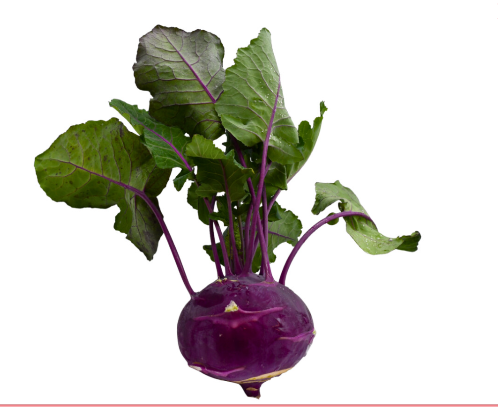 Kohlrabi blau regional Bio aus Bayern