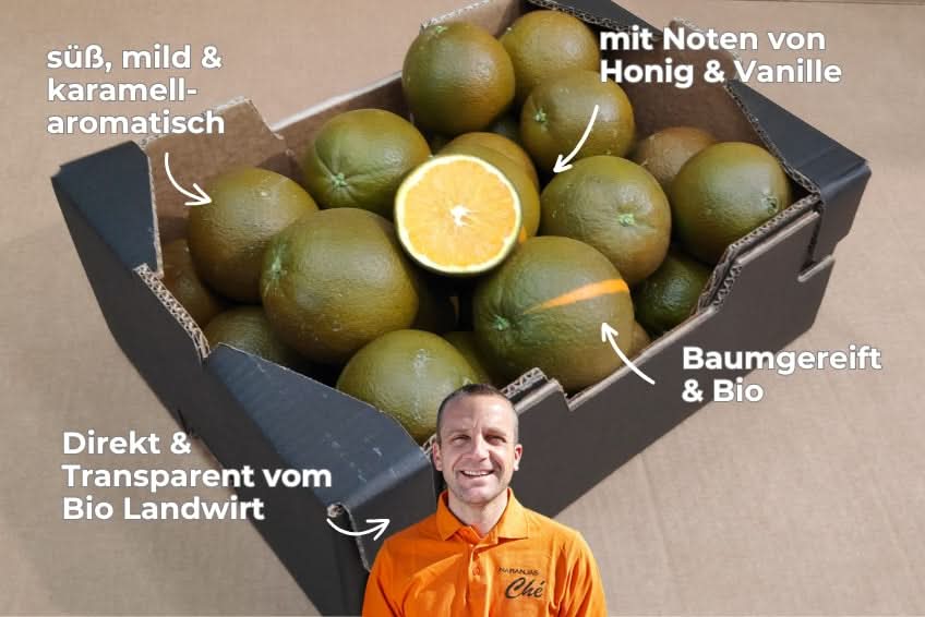 Orangen Chocolate Navel Bio 8kg Box