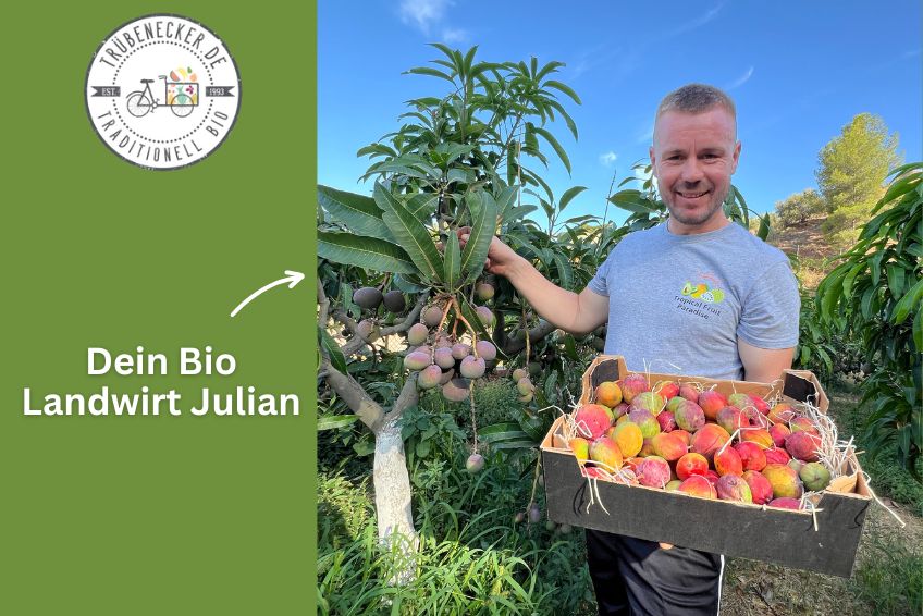 Baby-Mango Mix von Julian Retter-Box 3kg