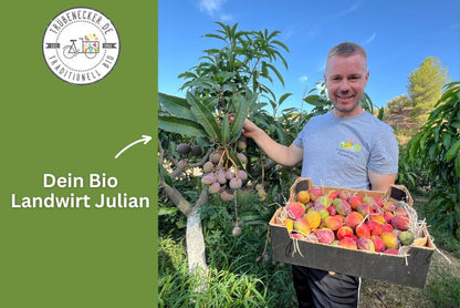 Baby-Mango Mix von Julian Retter-Box 3kg