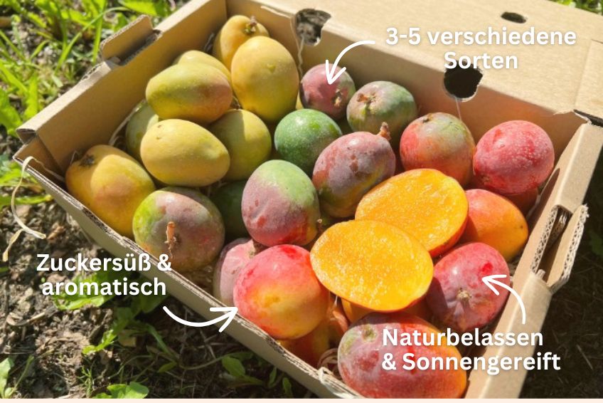 Baby-Mango Mix von Julian Retter-Box 3kg