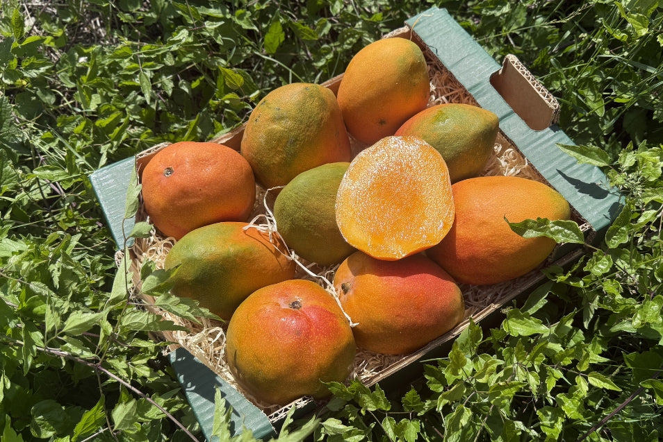 Mango Kent Ready to eat 4kg Retterbox %