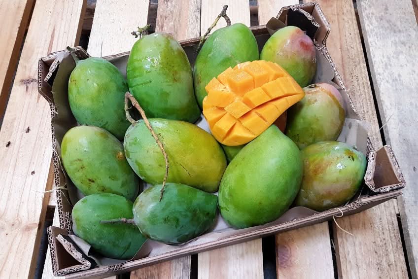 Mango Espada Bio von Rufino Kennenlernpreis % 1kg