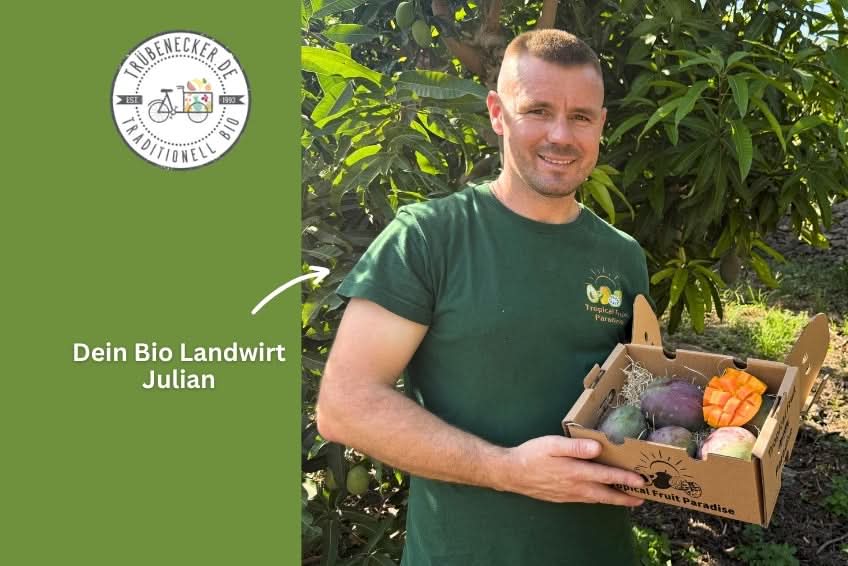 Mini-Mango Keitt Bio Sonderpreis %