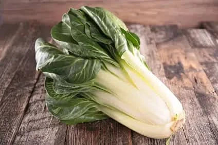 Mangold (Bietola) grün Bio