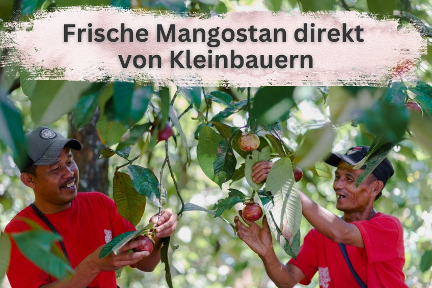 Mangostan naturbelassen