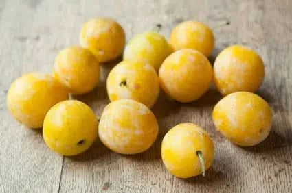 Mirabellen Bio aus der Provence