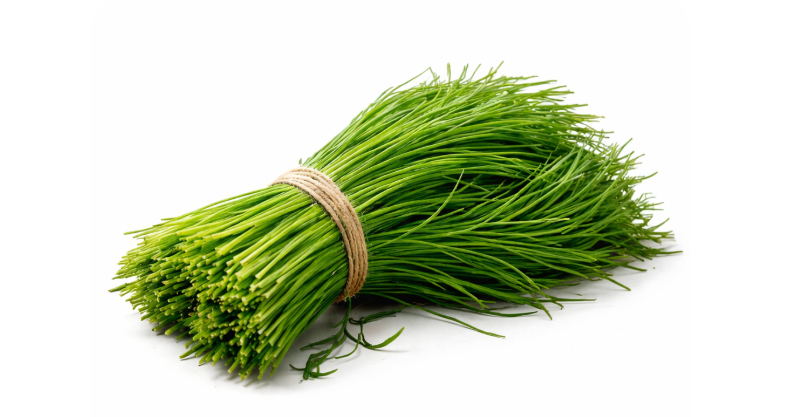 Mönchsbart (Barba di Frate) demeter Bio 1 Bund