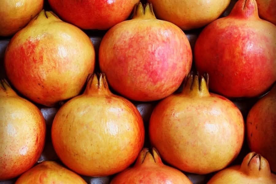 Granatapfel rosa "Mollar" Bio von Antonio