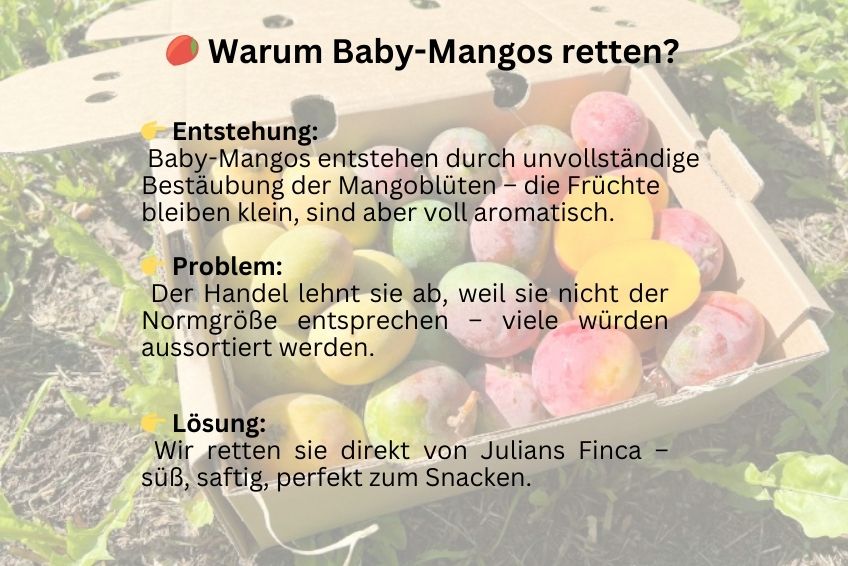 Baby-Mango Mix von Julian Retter-Box 3kg