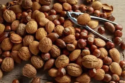 Starter-Set "Kopfnüsse" inkl. Nussknacker Bio