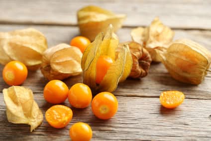 Physalis Bio Fair Trade