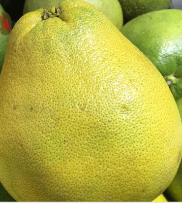 Pomelo weiss Bio sehr große Früchte