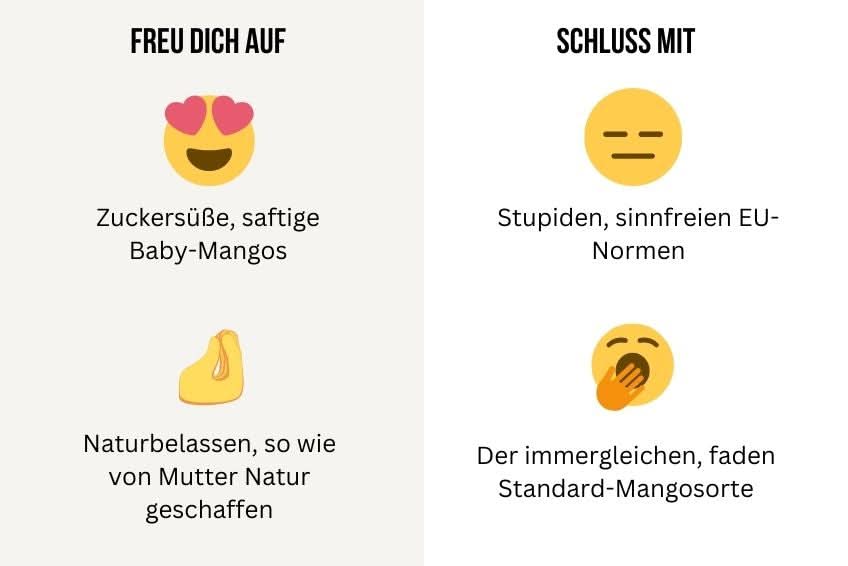 Baby-Mango Mix von Julian Retter-Box 3kg